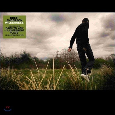 Brett Anderson (귿 ش) - Wilderness 2 [ ÷ LP]