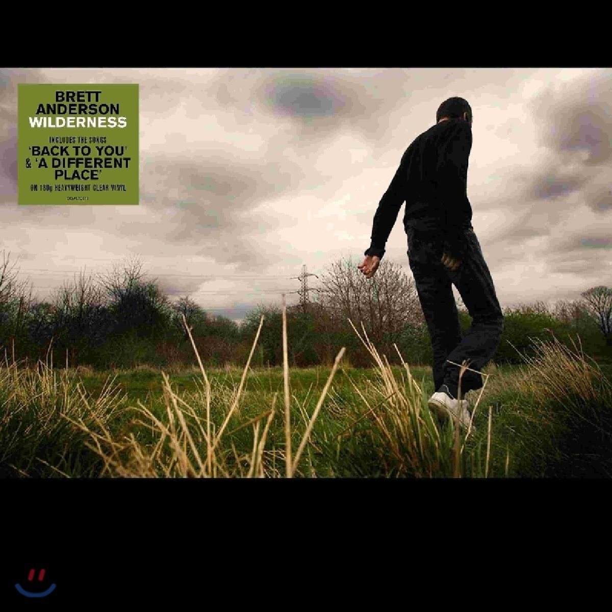 Brett Anderson (브렛 앤더슨) - Wilderness 2집 [투명 컬러 LP]