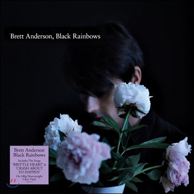 Brett Anderson — Black Rainbows 4집 앨범 커버