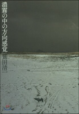濃霧の中の方向感覺