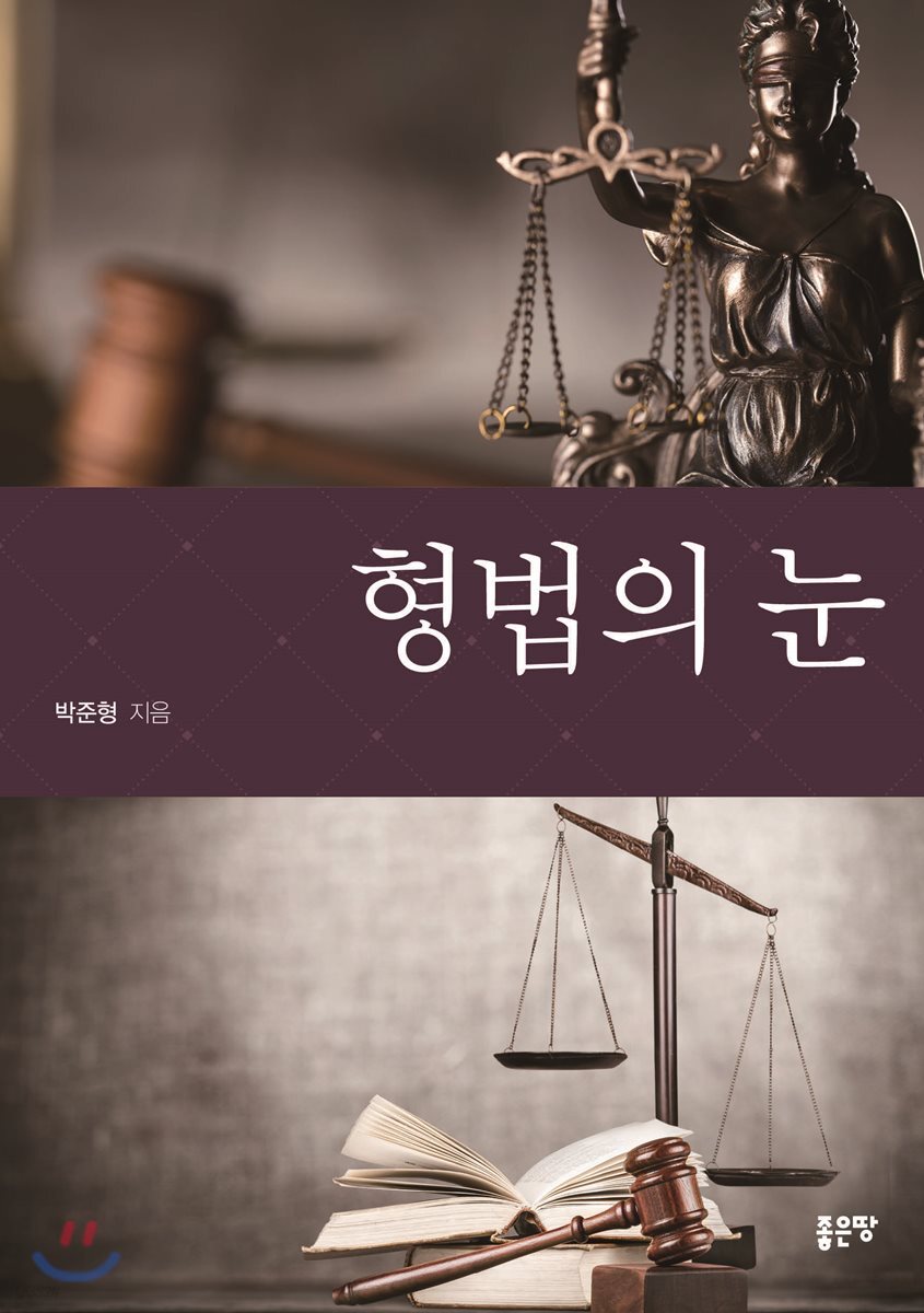형법의 눈