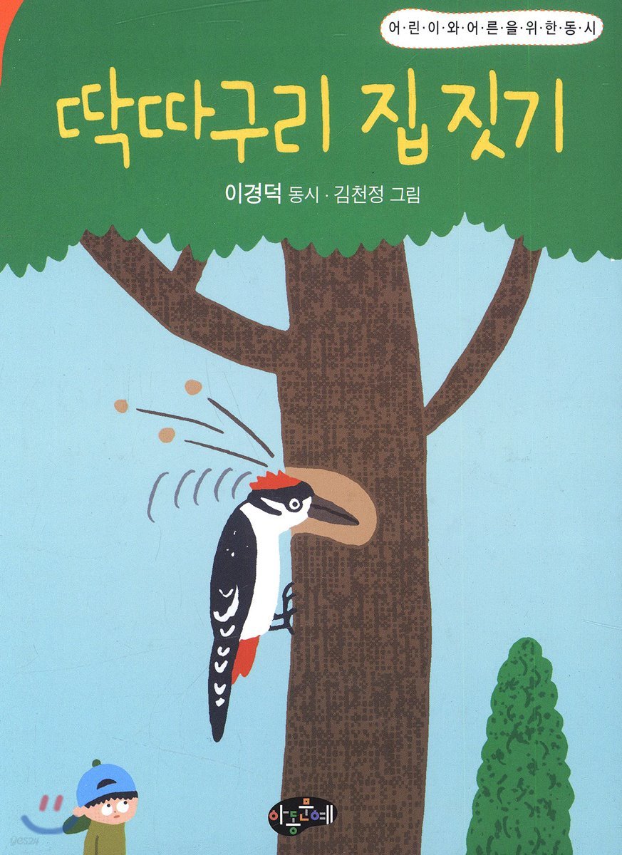 딱따구리 집 짓기