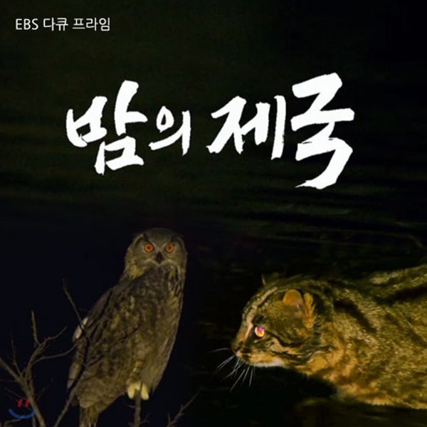 EBS 밤의 제국 (녹화물)