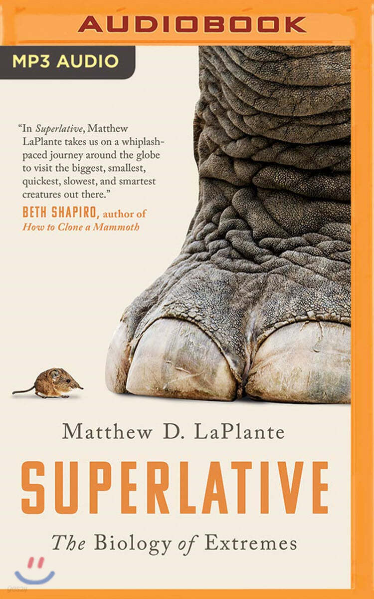 Superlative: The Biology of Extremes