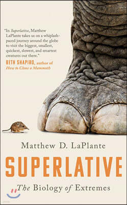 Superlative: The Biology of Extremes