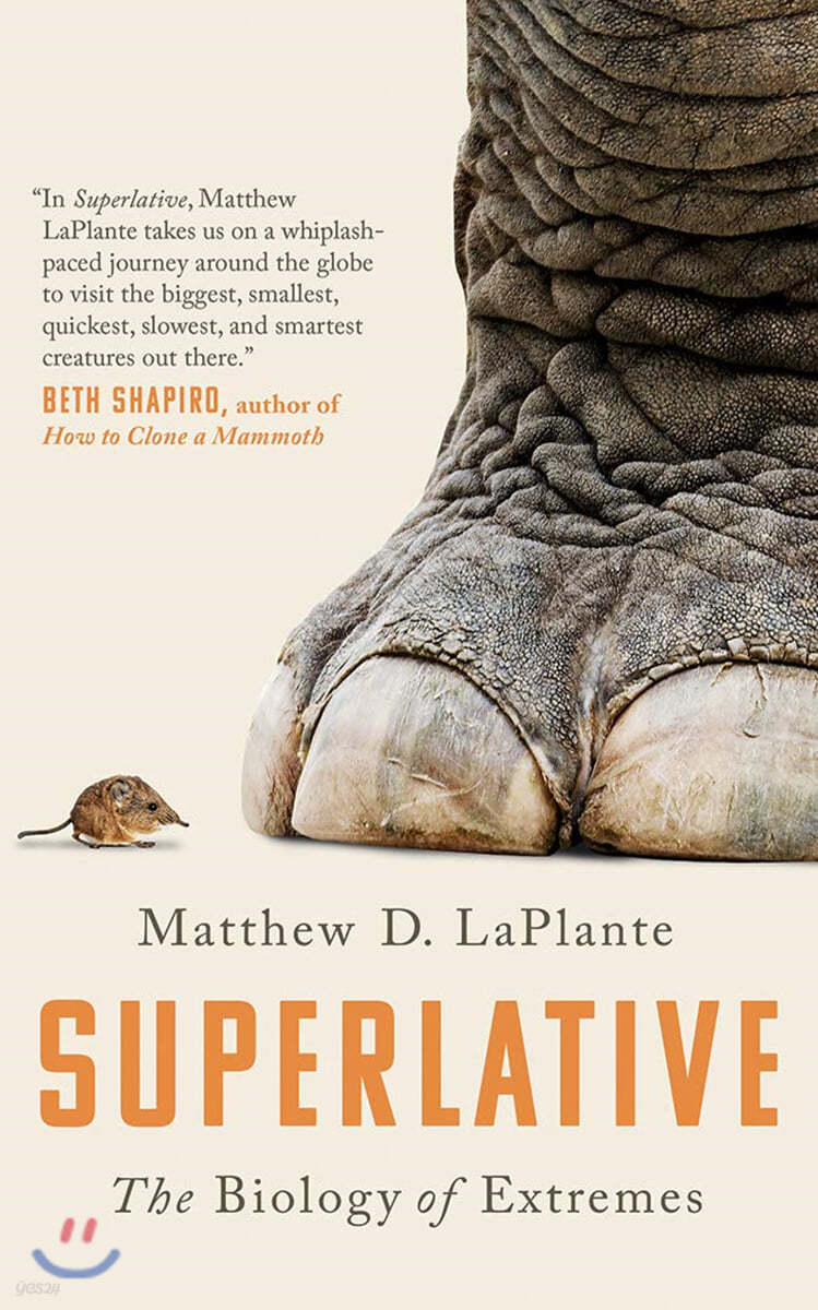 Superlative: The Biology of Extremes