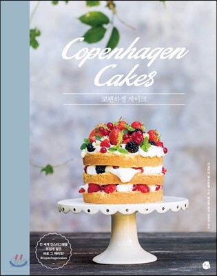 [대여] 코펜하겐 케이크