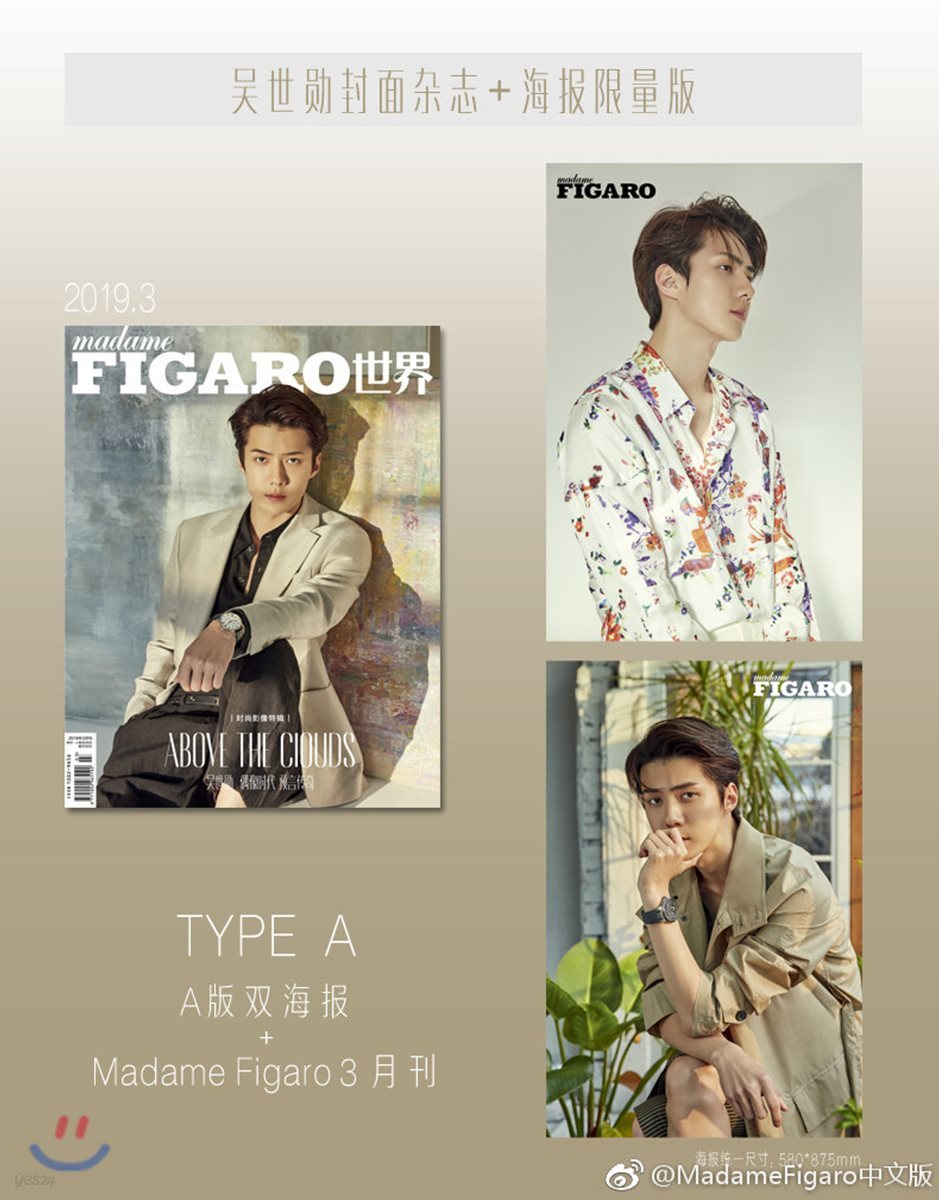 [A형] Madame Figaro (월간) : 2019년 3월호 (중국어판) : EXO 세훈 커버 (A형 포스터 포함)