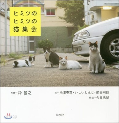 ヒミツのヒミツの猫集會