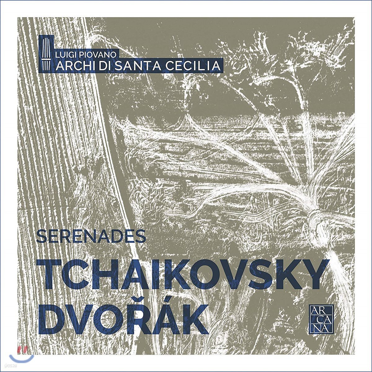 Archi di Santa Cecilia 차이코프스키 / 드보르작: 현을 위한 세레나데 (Tchaikovsky / Dvorak: Serenades for Strings)