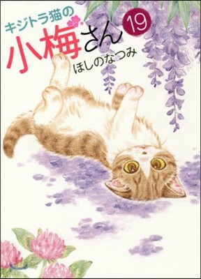 キジトラ猫の小梅さん 19