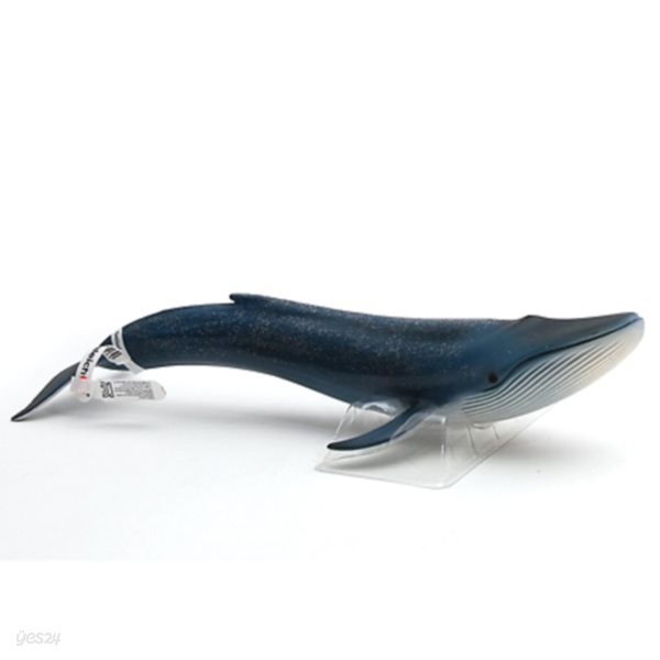 [나비타] 흰긴수염고래/14696/15000