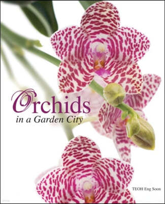 Orchids in a Garden City