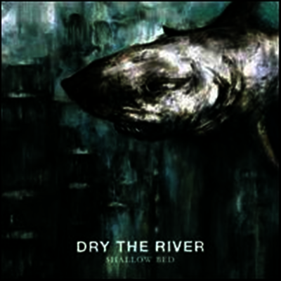 Dry The River - Shallow Bed (2LP)