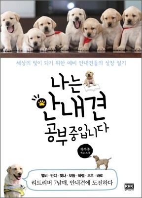 나는 안내견 공부 중입니다