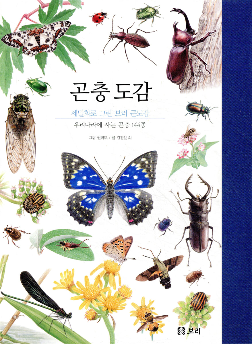곤충 도감