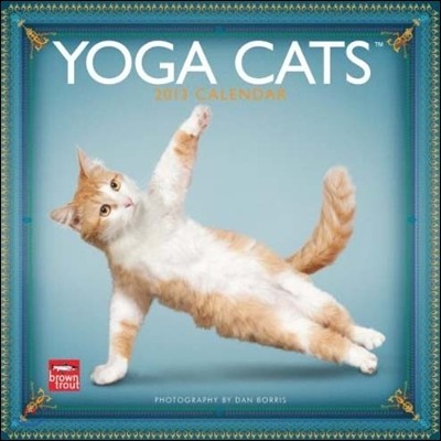 Yoga Cats 2013 Calendar