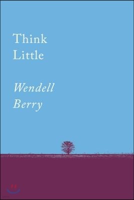 Think Little: Essays