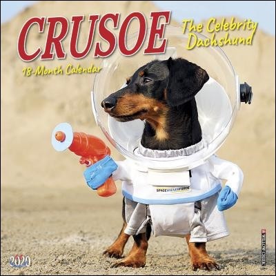 Crusoe the Celebrity Dachshund 2020 Calendar