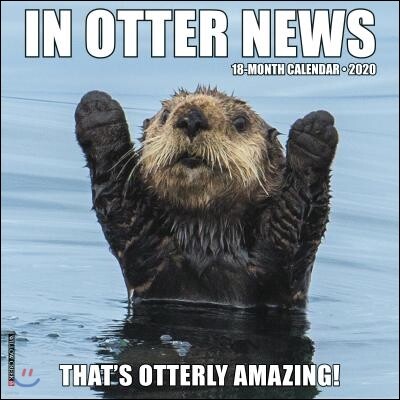 Willow Creek Pr In Otter News 2020 Calendar