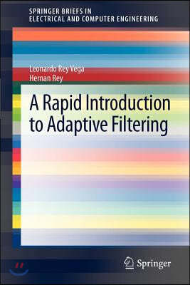 A Rapid Introduction to Adaptive Filtering
