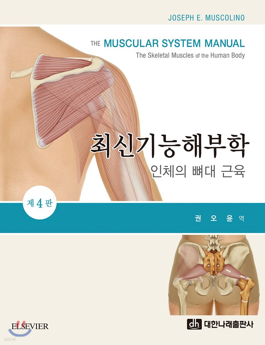 최신기능해부학
