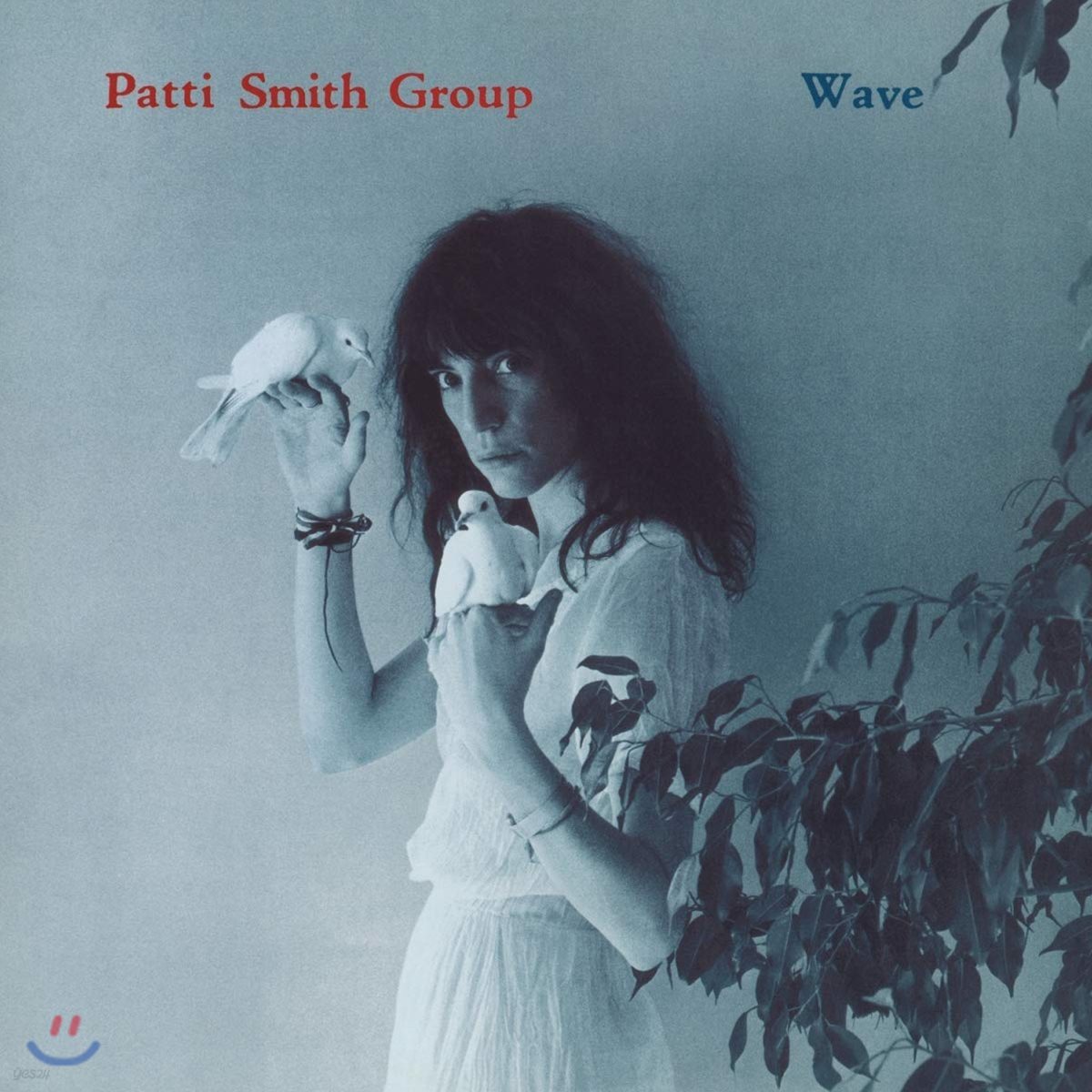 Patti Smith Group (패티 스미스 그룹) - Wave 4집 [LP]