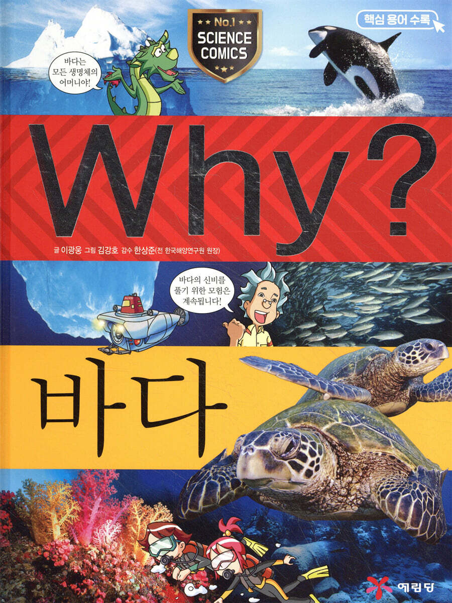 Why? 와이 바다