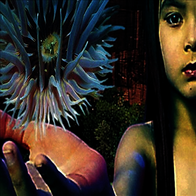 Future Sound Of London — Lifeforms (Gatefold) 앨범 커버