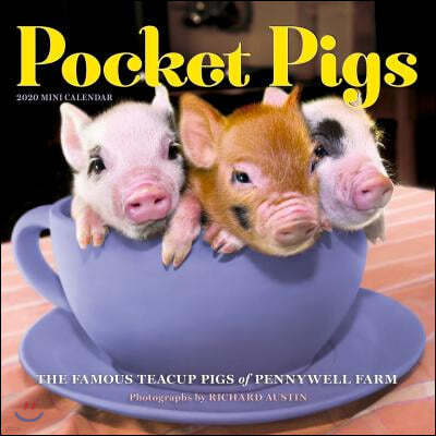 Pocket Pigs 2020 Calendar