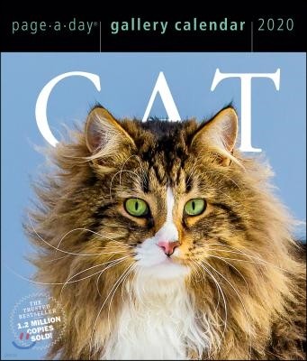 2020 Cat Page-A-Day Gallery Calendar