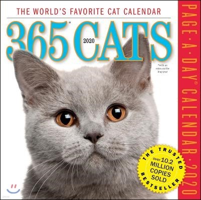 365 Cats 2020 Calendar
