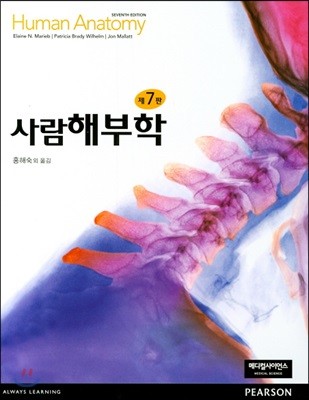 사람해부학