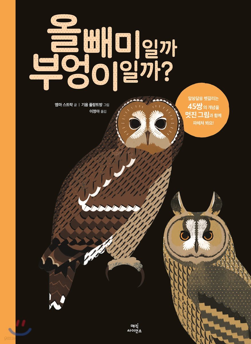 올빼미일까 부엉이일까?