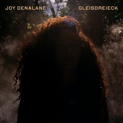 Joy Denalane — Gleisdreieck (Gatefold) 앨범 커버