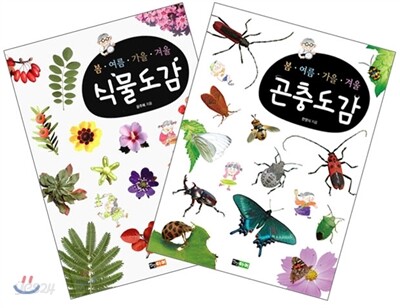 봄ㆍ여름ㆍ가을ㆍ겨울 식물도감, 곤충도감 세트