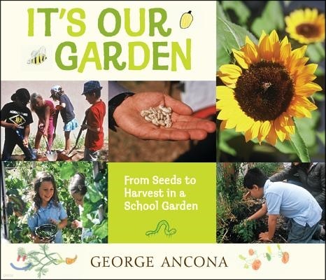 It's Our Garden: From Seeds to Harvest in a School Garden