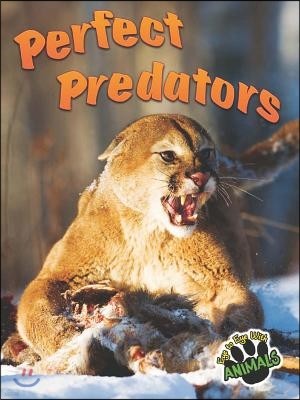 Perfect Predators