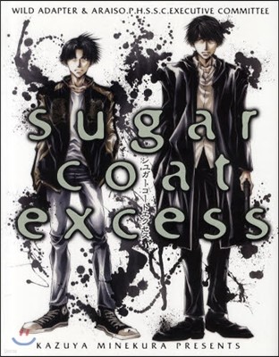 sugar coat excess