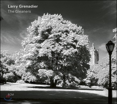 Larry Grenadier (래리 그레나디어) - The Gleaners