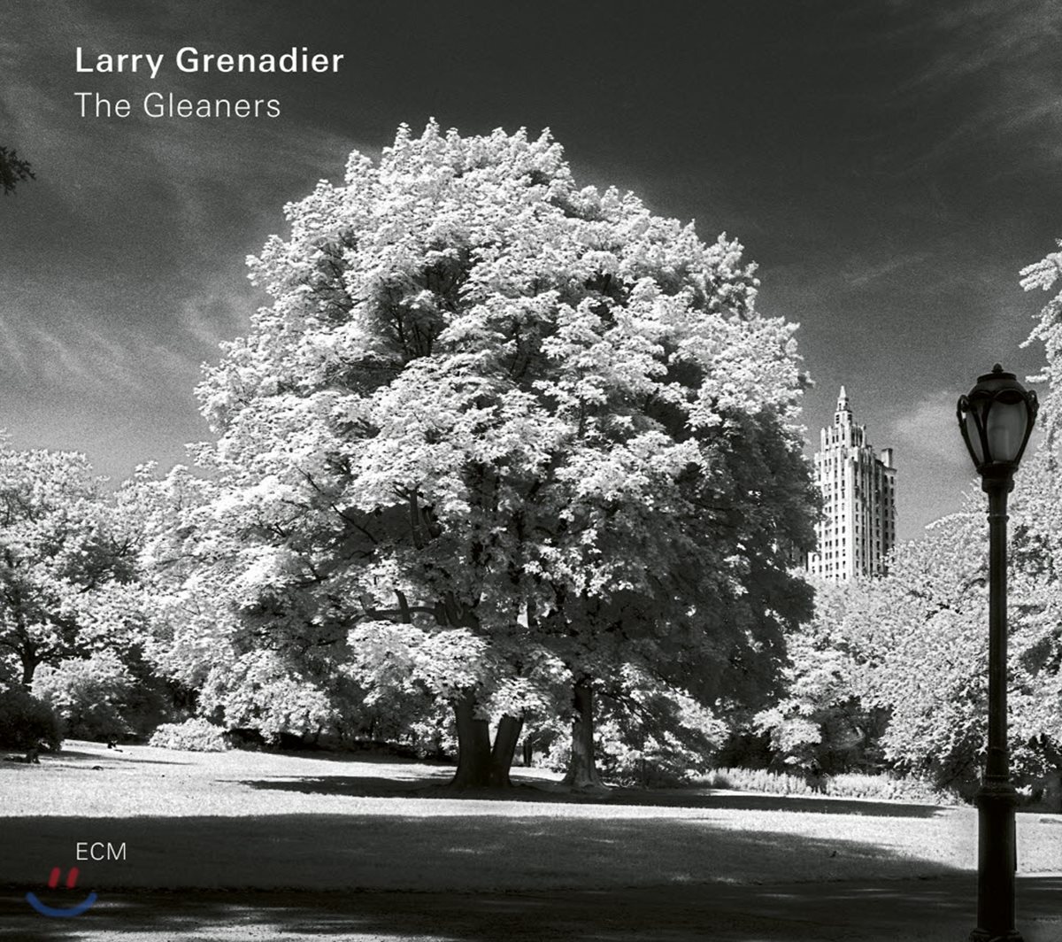 Larry Grenadier (래리 그레나디어) - The Gleaners [LP]