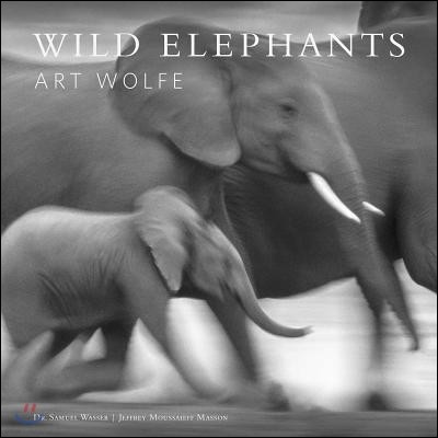 Wild Elephants: Conservation in the Age of Extinction