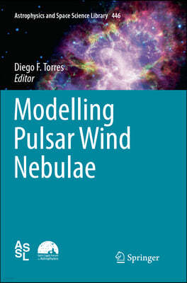 Modelling Pulsar Wind Nebulae