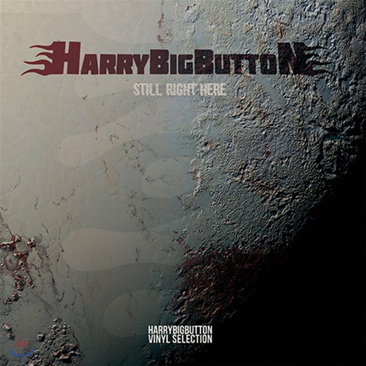 해리빅버튼 (HarryBigButton) - HarryBigButton Still Right Here 해리빅버튼 바이닐 셀렉션 [LP]