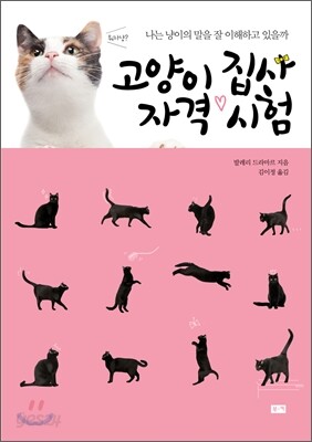 고양이 집사 자격 시험