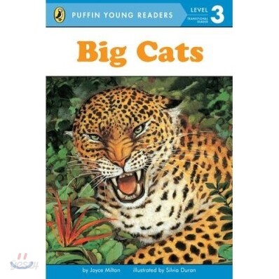 Big Cats