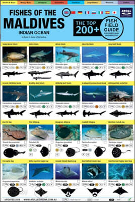 The Maldives Fish Field Guide "Top 200+"