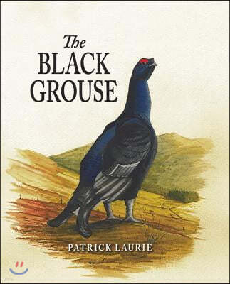 The Black Grouse