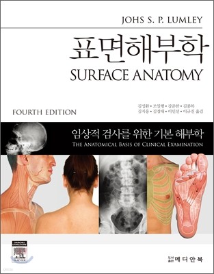 ǥغ Surface Anatomy