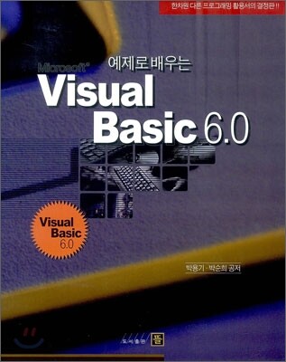 Visual Basic 6.0